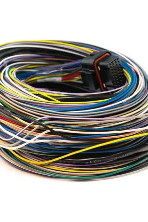 Link ECU B Loom Long For Use w/ Link G4, G4+ and G4X ECUs Certified