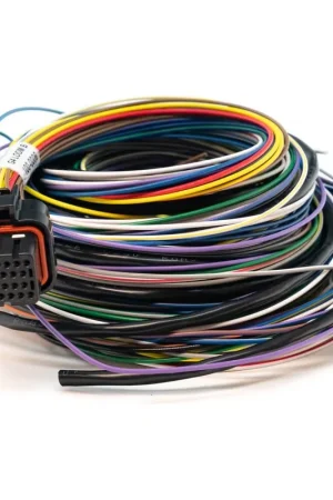 Cheap Link ECU B Loom Medium For Use w/ Link G4, G4+ and G4X ECUs