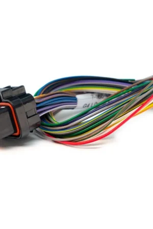 Fresh Stock Link ECU B Loom Short For Use w/ Link G4, G4+ and G4X ECUs