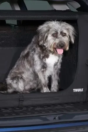 Next Day Delivery Subaru OEM Collapsible Pet Kennel Medium by Thule 2021-2025 Ascent / 2021-2025 Crosstrek / 2021-2025 Forester / 2021-2025 Impreza / 2021-2025 Outback