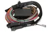 Haltech 8 Foot Long Premium Flying Lead Harness For Use w/ Elite 2500 & 2500T ECU Hot Deal