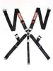 RaceQuip Camlock 5 Point Harness Set w/ 3 Inch Lap, 3 Inch Shoulder, and 2 Inch Sub Belts One Day Deal