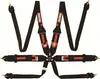 RaceQuip FIA 6 Point Camlock Harness Set w/ 3 Inch to 2 Inch HANS/FHR Shoulder Belts One Day Deal
