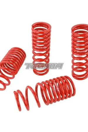 High Quality Skunk2 Lowering Springs Honda Civic CRX EF 88-91 - CLEARANCE SALE
