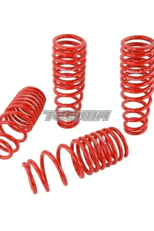 Buy Today Skunk2 Lowering Springs Honda Integra Type R DC2 94-01 - CLEARANCE SAL