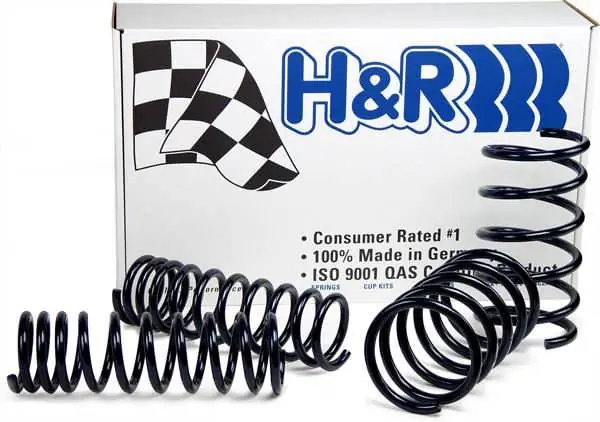 H&R Race Lowering Spring 51865-88 Handmade
