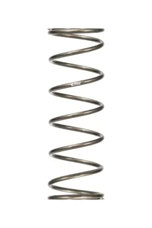 Must Have Eibach Platinum Rear Spring — PMD Premier Motoring Development