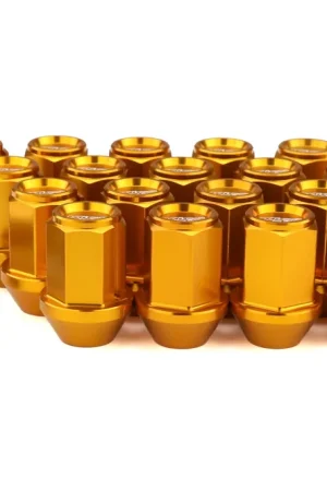 Today Only Project Kics Leggdura Racing Lugnuts W/ Laser Logo - Universal