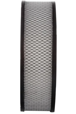 1981 Pontiac LeMans Air FilterPA91 Best Price