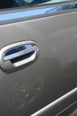 Money Back Guarantee TFP Stainless Steel Door Handle - Lever Insert Accent - 461L