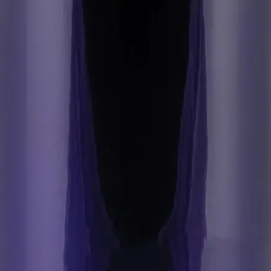 Big Sale Wehrli 11-16 Chevrolet 6.6L LML Duramax Twin Turbo Style Coolant Tank Kit - Illusion Purple - WCF100644-IP