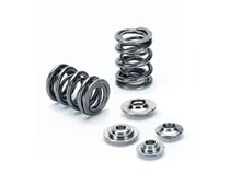 Supertech BMW S14 16V/S38 24V Dual Valve Spring Kit Shop Now