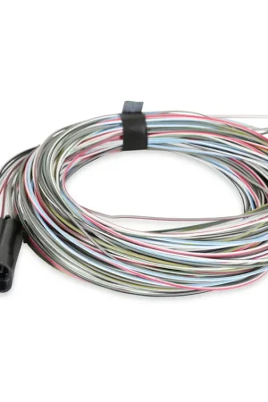 Holley EFI Connector J1A/B Input/Outputs Auxiliary Harness Connector J1A/B Inputs/Outputs Auxiliary Harness for Terminator X, HP, and Dominator EFI systems Money Back Guarantee