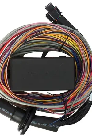 Fan Favorite Haltech Elite 950 5m Premium Universal Wire-In Harness