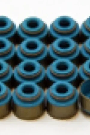 GSC Power Division GSC P-D Honda B/K/H Viton 6mm Exhaust Valve Stem Seal Set One Day Deal