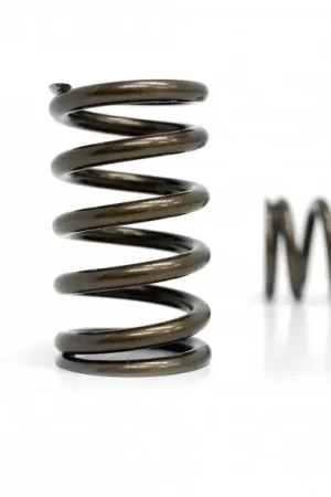 Kelford High Performance 'PACALOY' Valve Spring Set (1JZ-GTE) Free Shipping