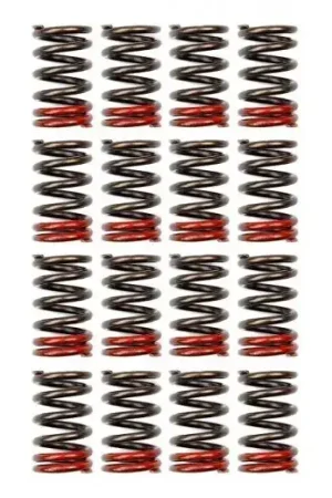 Flash Sale Tomei High Performance Valve Spring Set (Nissan SR20DE/DET)