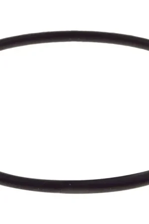 Raceworks Replacement O-Ring For Fuel Filter Factory Price