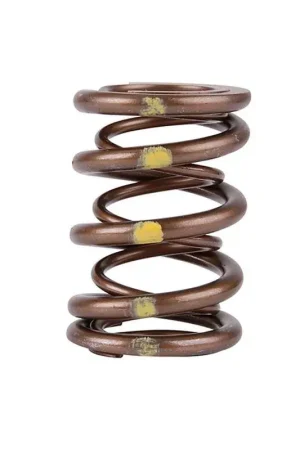 Skunk2 Racing Skunk2 Pro Series Honda/Acura B-Series VTEC XP Valve Spring Set (Dual Springs) Exclusive