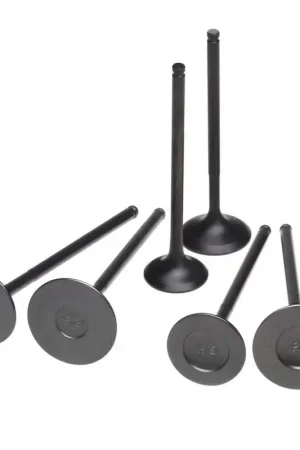 Skunk2 Racing Skunk2 Pro Series Honda/Acura Stock Size B Series DOHC VTEC Intake Valve (Standard Compression) Affordable