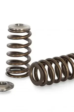 Hot Picks Kelford Valve Spring and Titanium Retainer Kit (RB25 Neo)