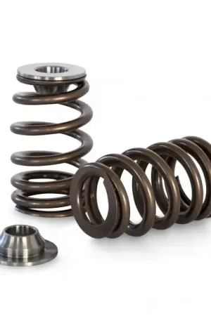 Kelford Valve Spring and Titanium Retainer Set (Ford 2000 OHC) Grab Now