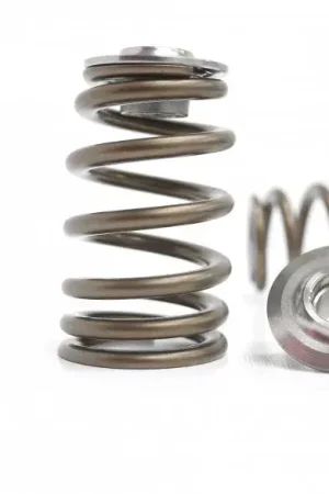 Bargain Kelford Valve Spring and Titanium Retainer Set (SR16/20VE)