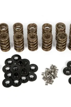 Harrop Valve Spring Kit PAC11905 (Corvette 95-08/Camaro 98-20/Commodore 00-17) Weekend Sale