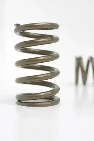 Kelford Valve Spring Set (KA24DE/DET) Editor’s Pick