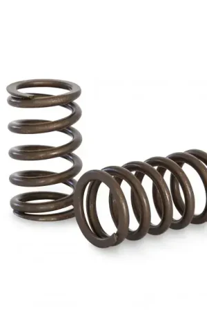 Trusted Brand Kelford Valve Spring Set (RB20DE-DET)