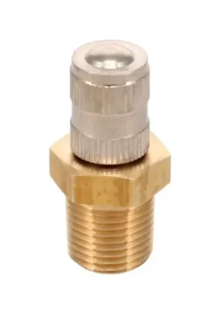 Raceworks 1/8" NPT Schrader Valve With Dust Cap Crafted