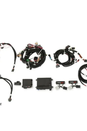 Holley EFI 2011-2012 Ford Coyote Ti-VCT HP EFI Kit, NTK O2, USCAR INJ Budget
